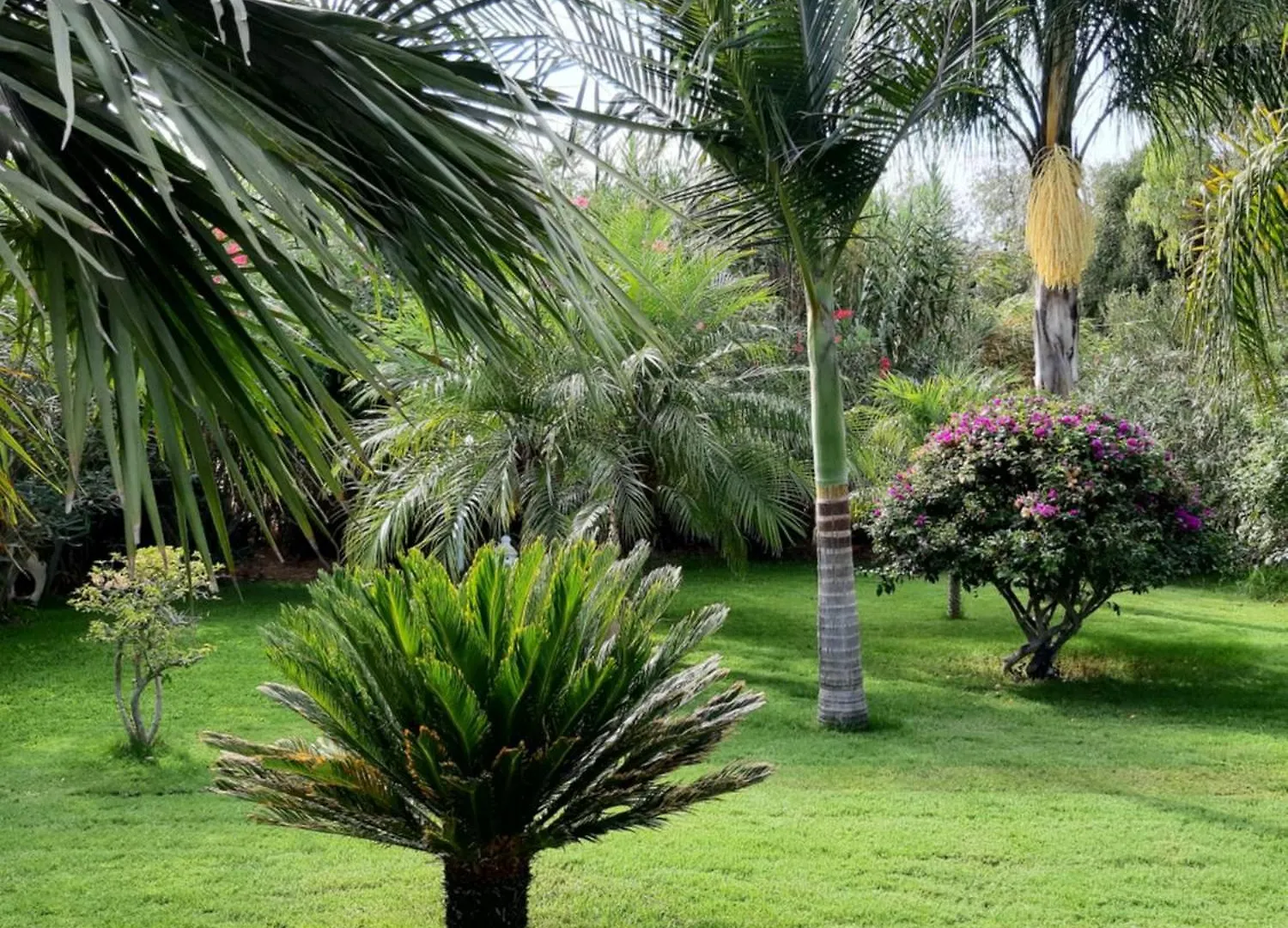 Sweet Home Giba Holiday home